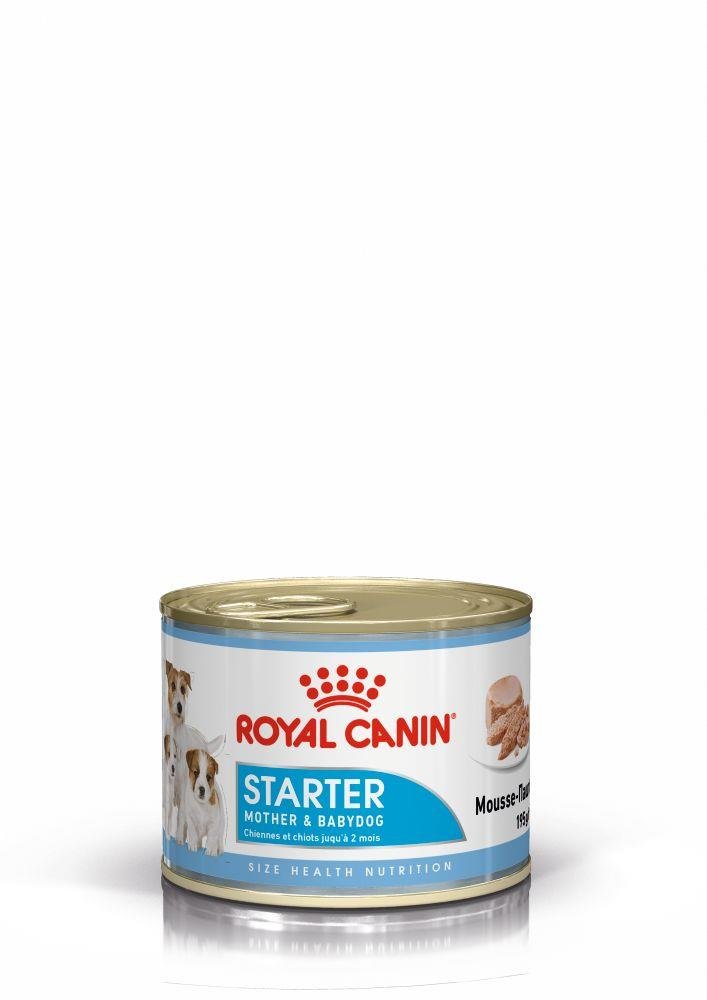Royal Canin Starter Mousse Anne ve Yavruları İçin Köpek Konservesi 195 Gr