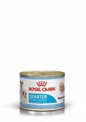 Royal Canin Starter Mousse Anne ve Yavruları İçin Köpek Konservesi 195 Gr