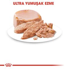 Royal Canin Starter Mousse Anne ve Yavruları İçin Köpek Konservesi 195 Gr
