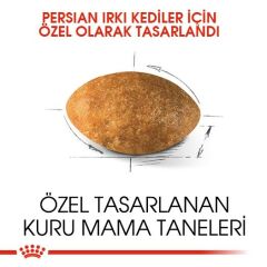 Royal Canin Persian İran Kedisi Irk Maması 4 Kg