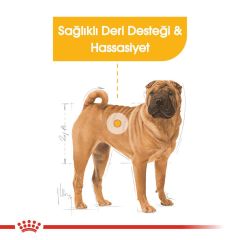 Royal Canin CCN Medium Dermacomfort Köpek Maması 12 Kg