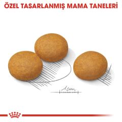 Royal Canin CCN Medium Dermacomfort Köpek Maması 12 Kg
