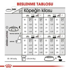 Royal Canin CCN Medium Dermacomfort Köpek Maması 12 Kg