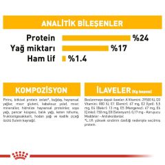 Royal Canin CCN Medium Dermacomfort Köpek Maması 12 Kg