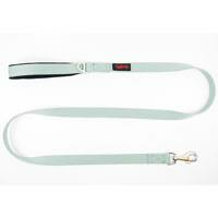 TAİLPETZUZATMA TASMA MEDİUM LEASH MOON