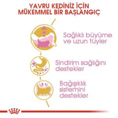 Royal Canin Kitten Persian Yavru İran Irk Maması 2 Kg