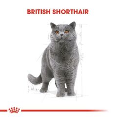 Royal Canin British Shorthair Yaş Mama Pouch 85gr