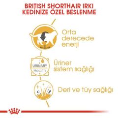 Royal Canin British Shorthair Yaş Mama Pouch 85gr
