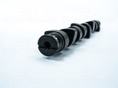 EKSANTRIK MILI | VW PASSAT A4 A6 1.9TDI AFN AVG AHU 96 > | WISCO