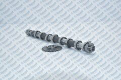 EKSANTRIK MILI EMME DOKUM 24100-2A101 HYUNDAI ACCENT III GETZ-CERATO 05-09 BLUE-I20-I30-CEED 11> 1.5CRDI