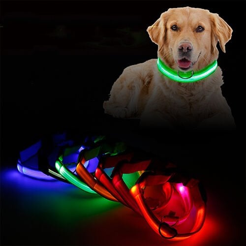 LED Köpek Tasması
