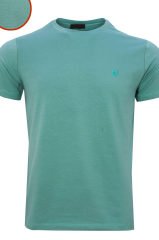 Erkek Mint Yeşili Regular Kesim Simit Yaka Erkek T-shirt