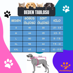 sunger bob mor köpek atlet kedi atlet