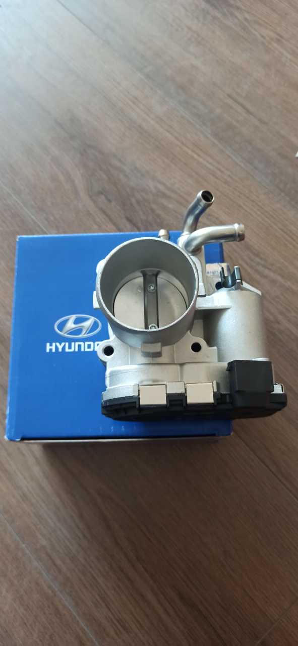 Hyundai Blue Gaz Kelebek Gövdesi (3510003200)