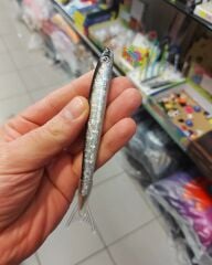 Balık kalem