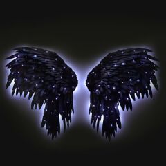 Veraart Kişiselleştirilebilir Işıklı Epoksi Cam Tablo Liliht Siyah Melek Kanadı 58 cm Anneler Günü Hediyesi