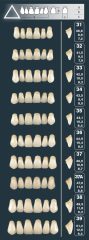 Primodent Takım Diş Akrilik 28'Lik - Üçgen Form