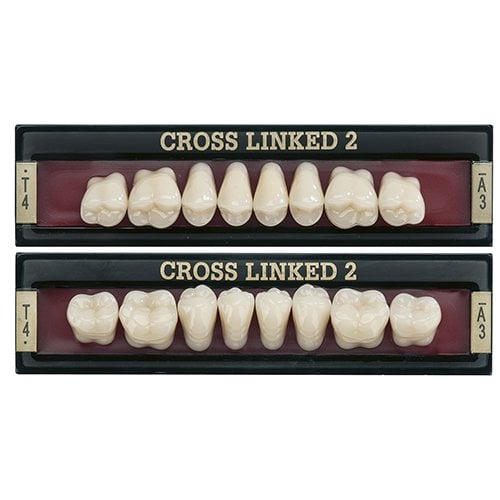 Cross Linked 2 Takım Diş Akrilik 28'Lik