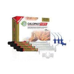 Calcipast Forte Mega Kalsiyum Hidroksit Pat 4*2,1 gr