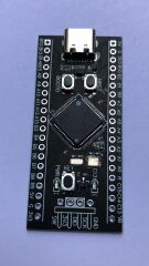 STM32F401RCT6 ARM STM32 Minimum Sistem Geliştirme Kartı