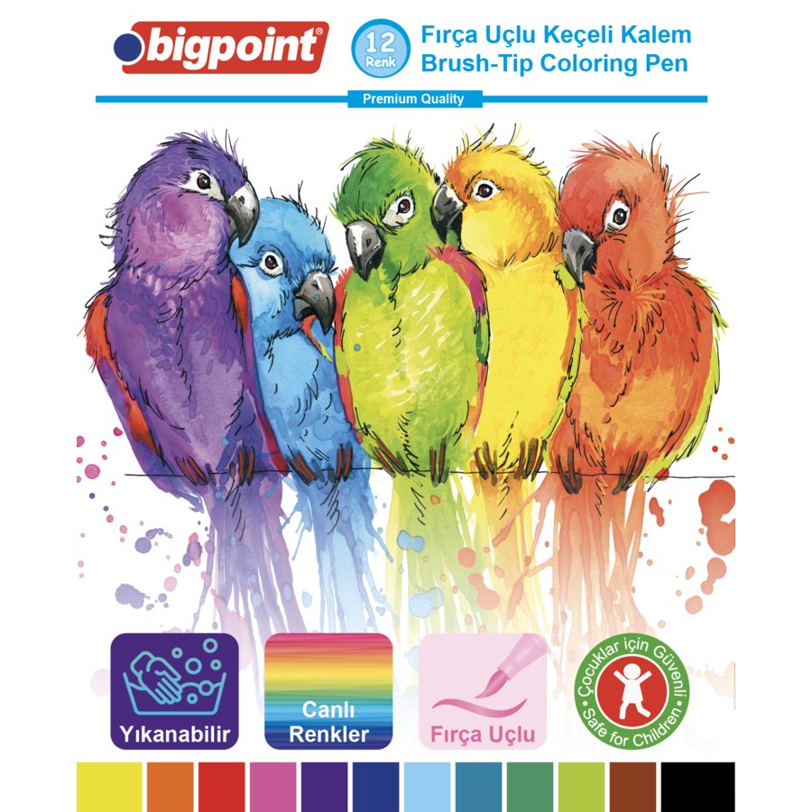 Bigpoint Fırça Uçlu Keçeli Kalem 12'li Set (Plastik Kutulu)