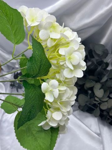 Islak Ortanca Demet Krem