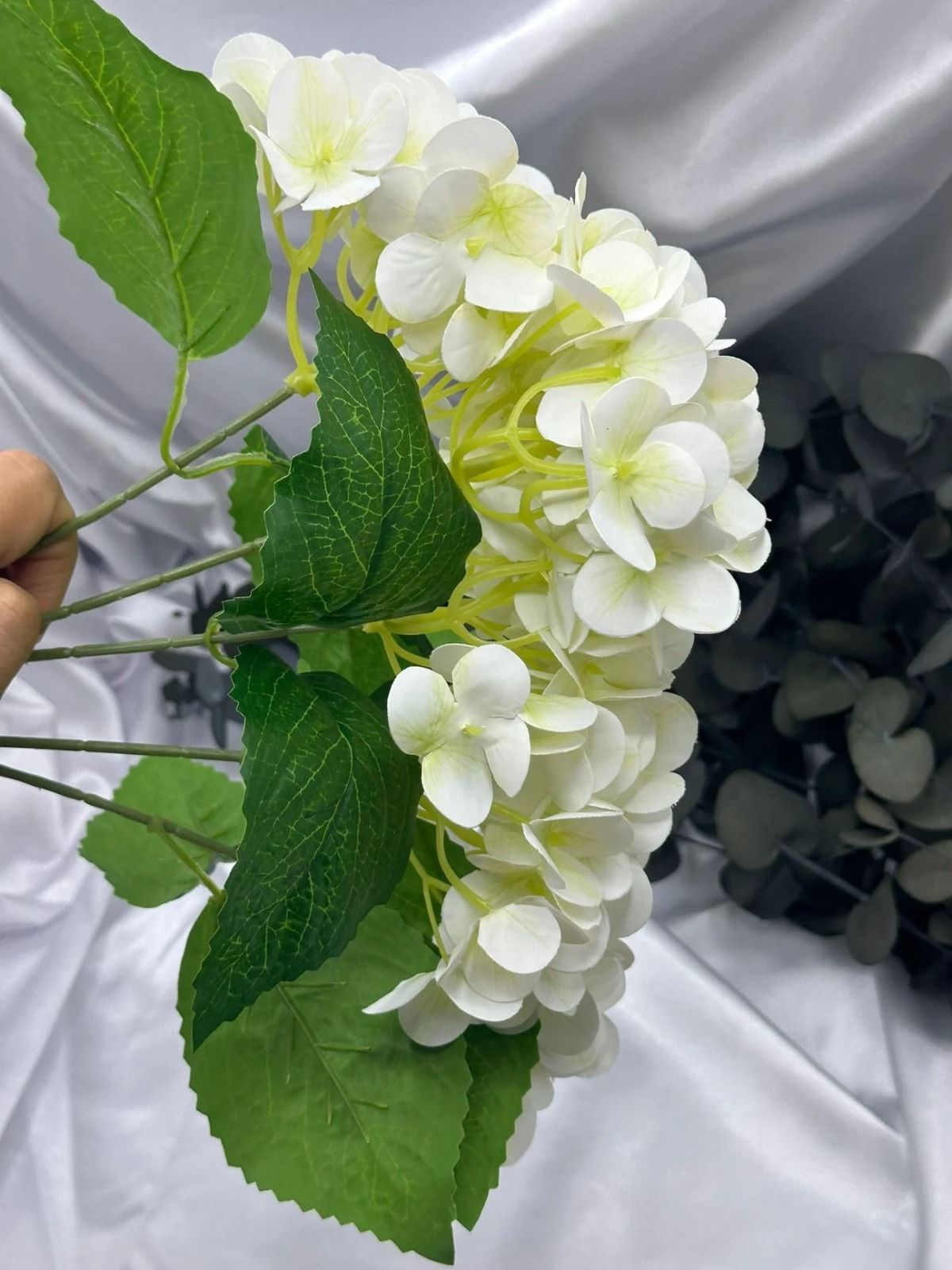 Islak Ortanca Demet Krem