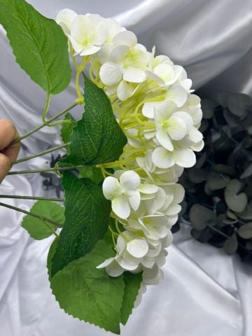 Islak Ortanca Demet Krem