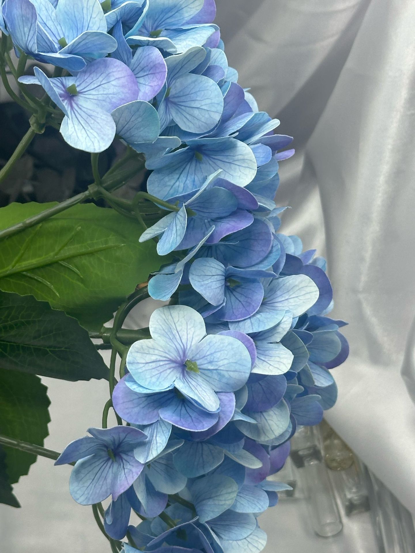 Islak Ortanca Demet Mavi