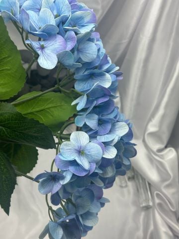 Islak Ortanca Demet Mavi