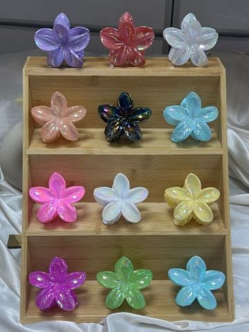 Lotus Toka 12 adet (8cm)