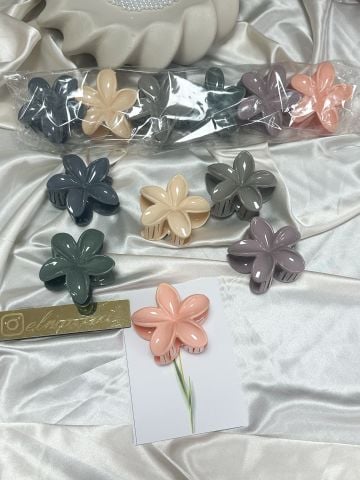 Lotus Toka 12 adet (8cm) 2