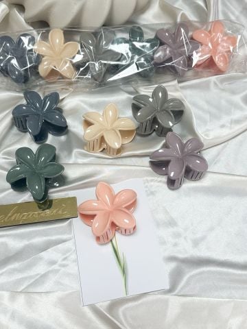 Lotus Toka 12 adet (8cm) 2