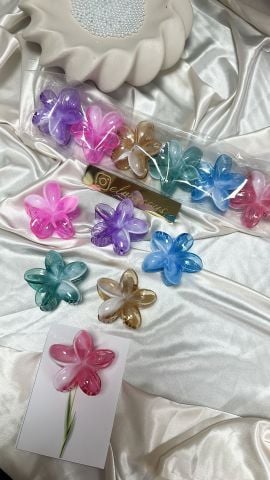 Lotus Toka 12 adet (8cm) 3