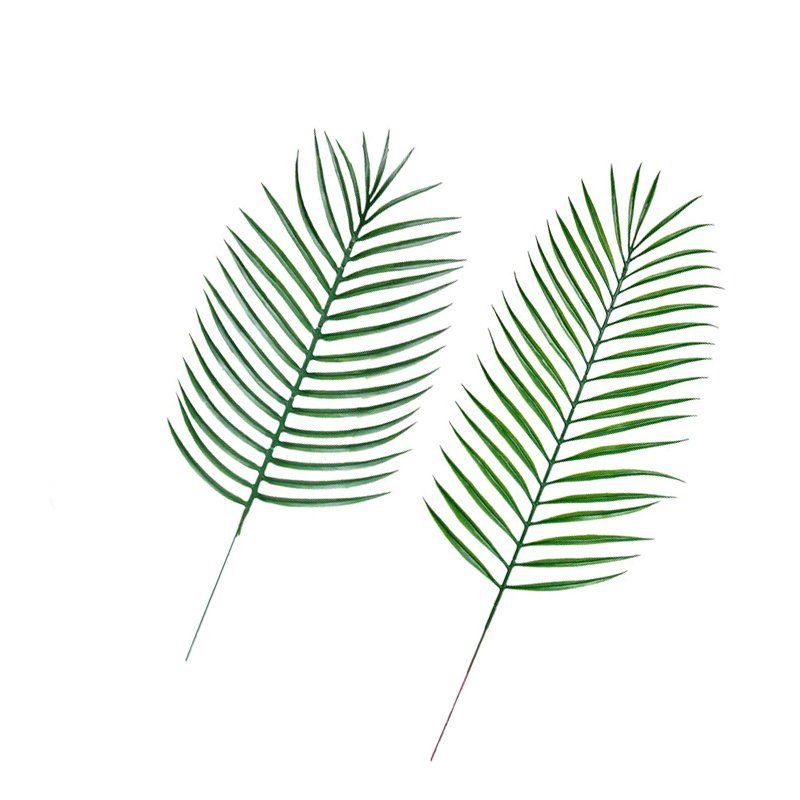 Palmiye Arajman Çiçek 20cm x 35cm