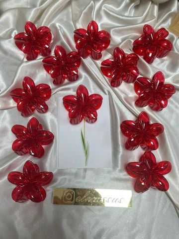 Lotus Toka 12 adet (8cm) Kırmızı4