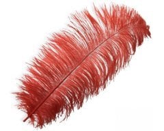 Kalem ve Organizasyon Tüyü - 65cm Kırmızı