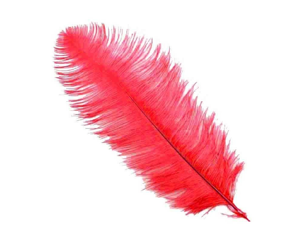 Kalem ve Organizasyon Tüyü - 45cm Kırmızı