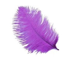 Kalem ve Organizasyon Tüyü - 45cm Mor
