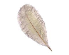 Kalem ve Organizasyon Tüyü - 45cm Krem
