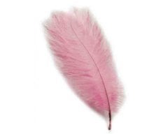 Kalem ve Organizasyon Tüyü - 35cm Pembe