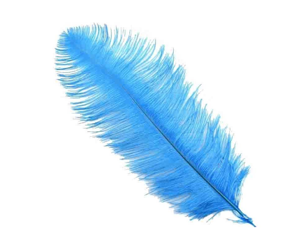 Kalem ve Organizasyon Tüyü - 35cm Mavi