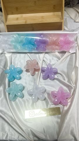 Renkli Lotus  8 cm  (12 adet)