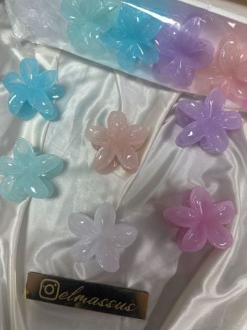 Renkli Lotus  8 cm  (12 adet)