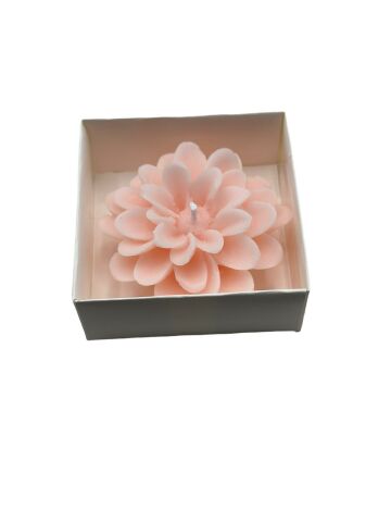 Lotus Kutulu Çiçek Mum (12 adet) Pembe - Beyaz Kutu