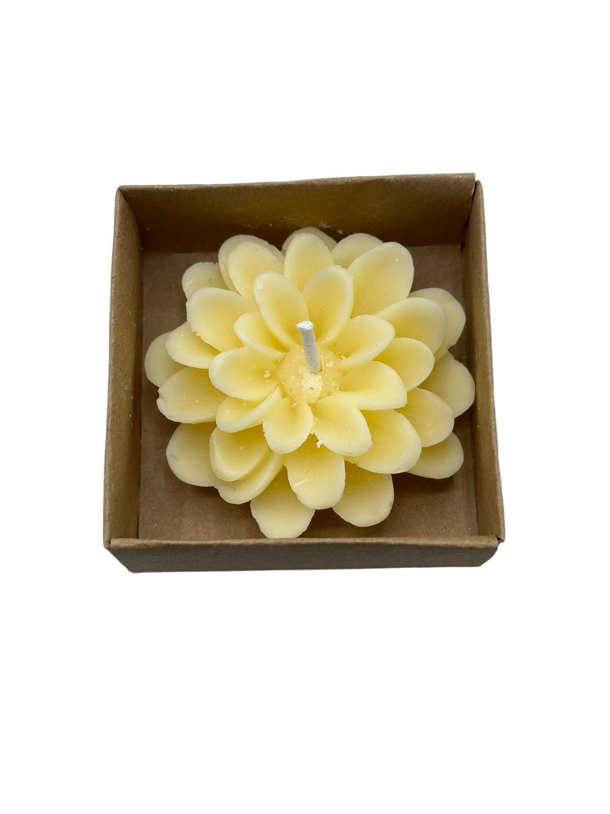 Lotus Kutulu Çiçek Mum (12 adet) Sarı - Kraft Kutu