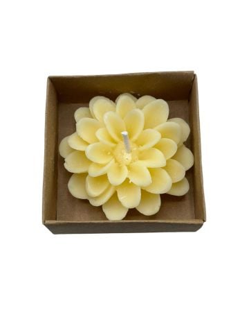 Lotus Kutulu Çiçek Mum (12 adet) Sarı - Kraft Kutu