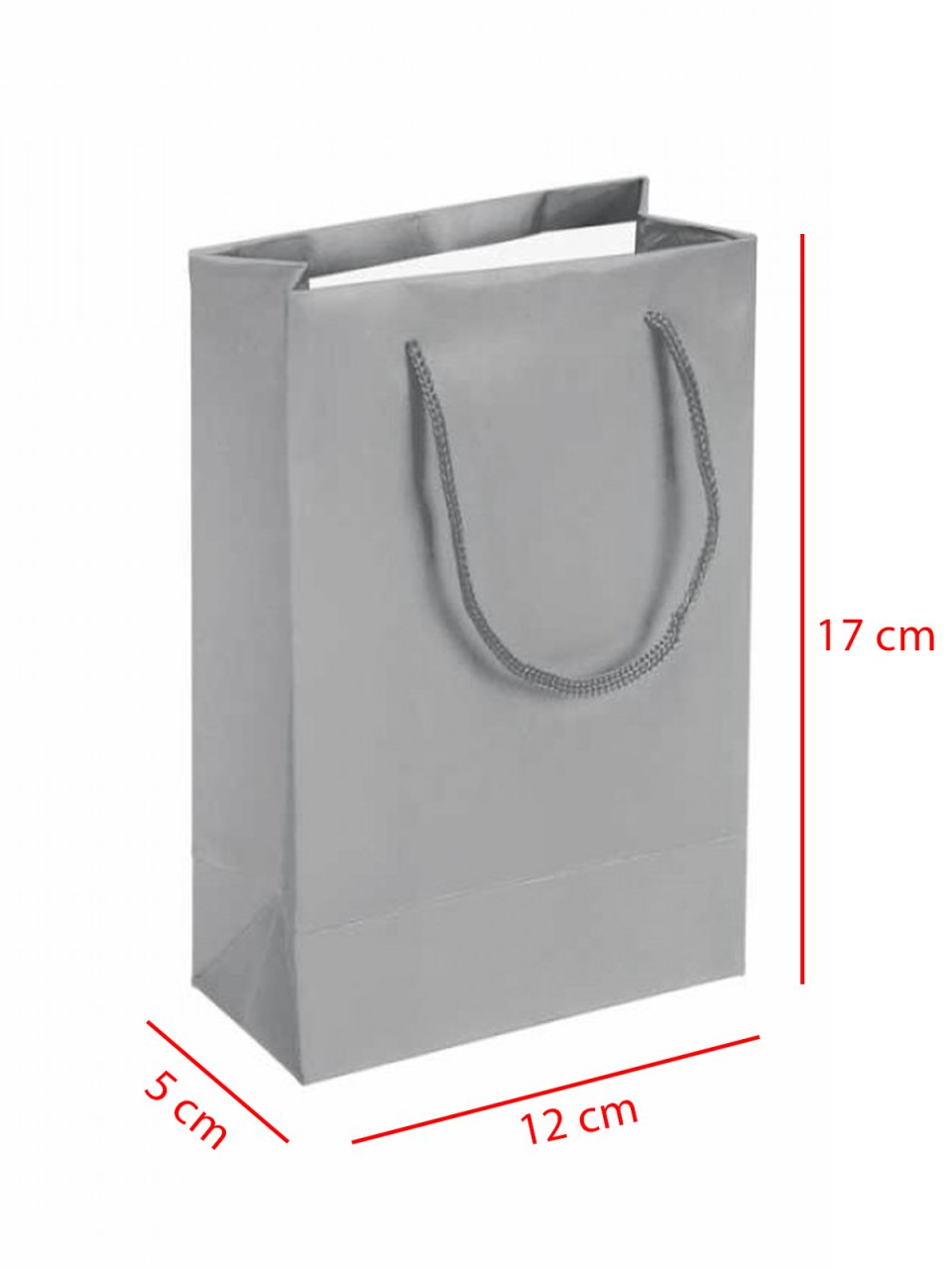12 x 5 x 17 İp Saplı Kağıt Çanta (25 adet) Gümüş