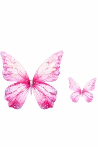 Kart 50 adet  Çift Pembe Kelebek