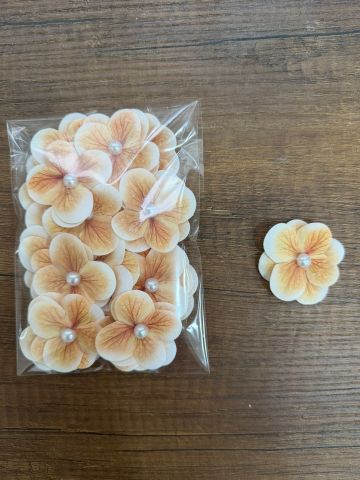 İncili  Çift Ortanca  25 adet Turuncu